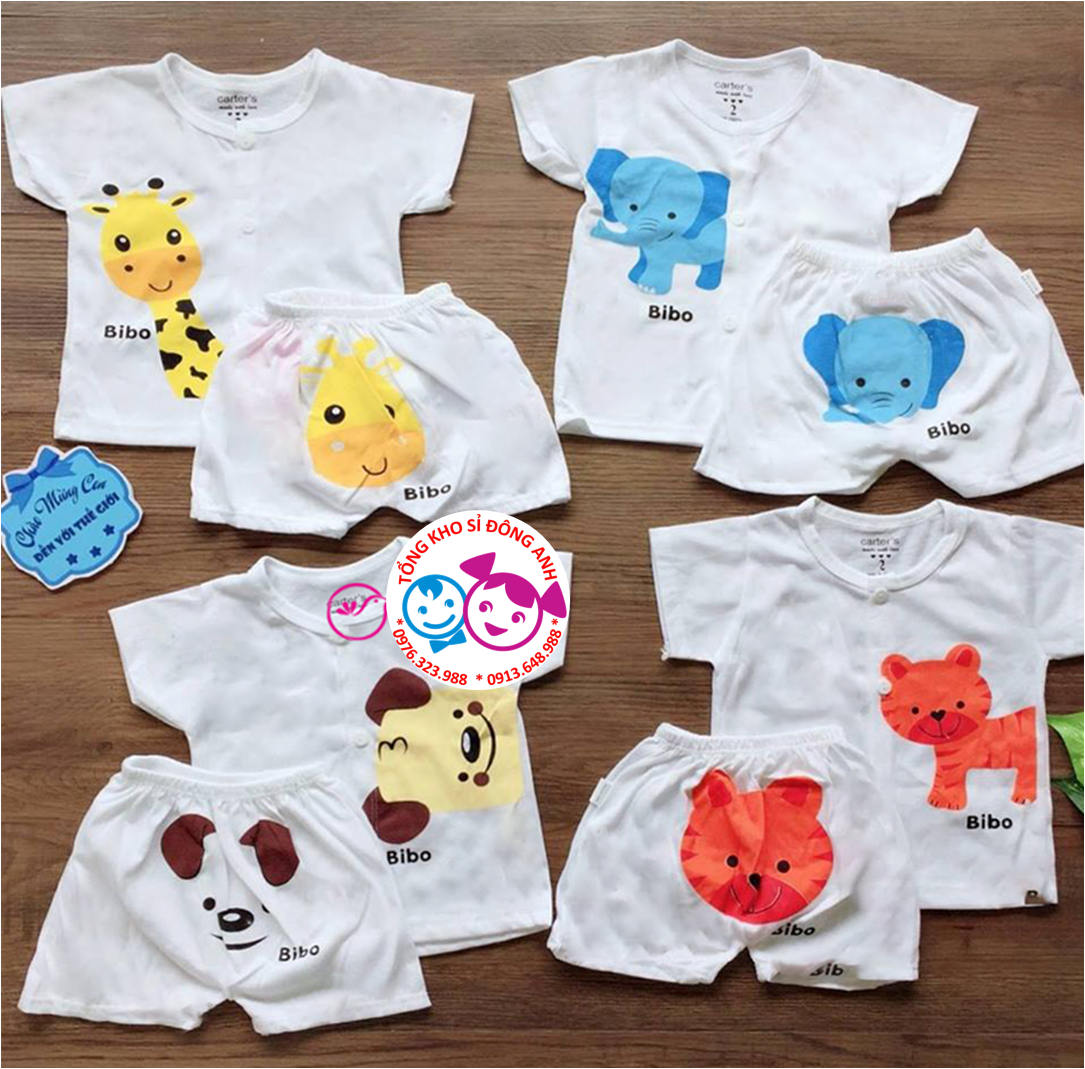 Set 5 bộ quần áo cộc tay carter cotton nhiều mẫu mặc cực mát, hình cực yêu cho bé