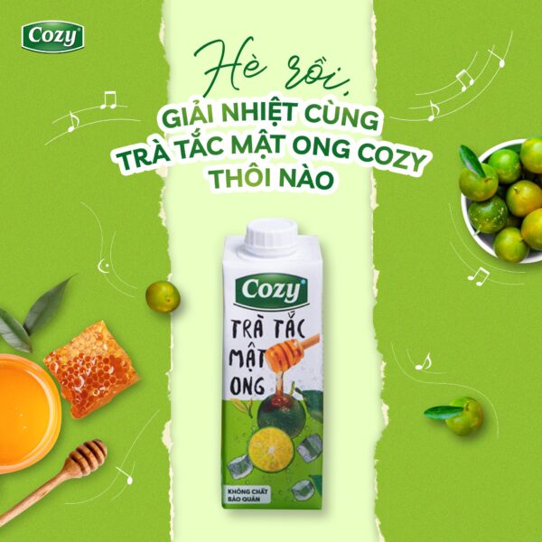 Thùng 24 hộp Trà Tắc Mật Ong Cozy 225ml