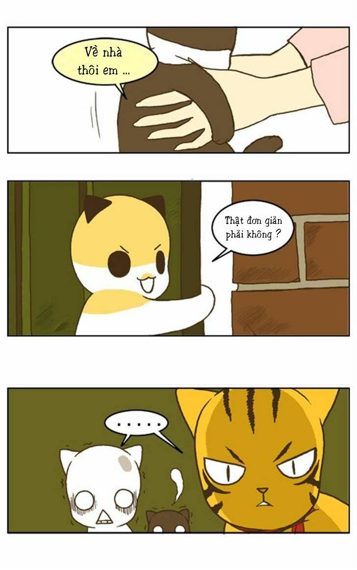 papi nyang chapter 16 13