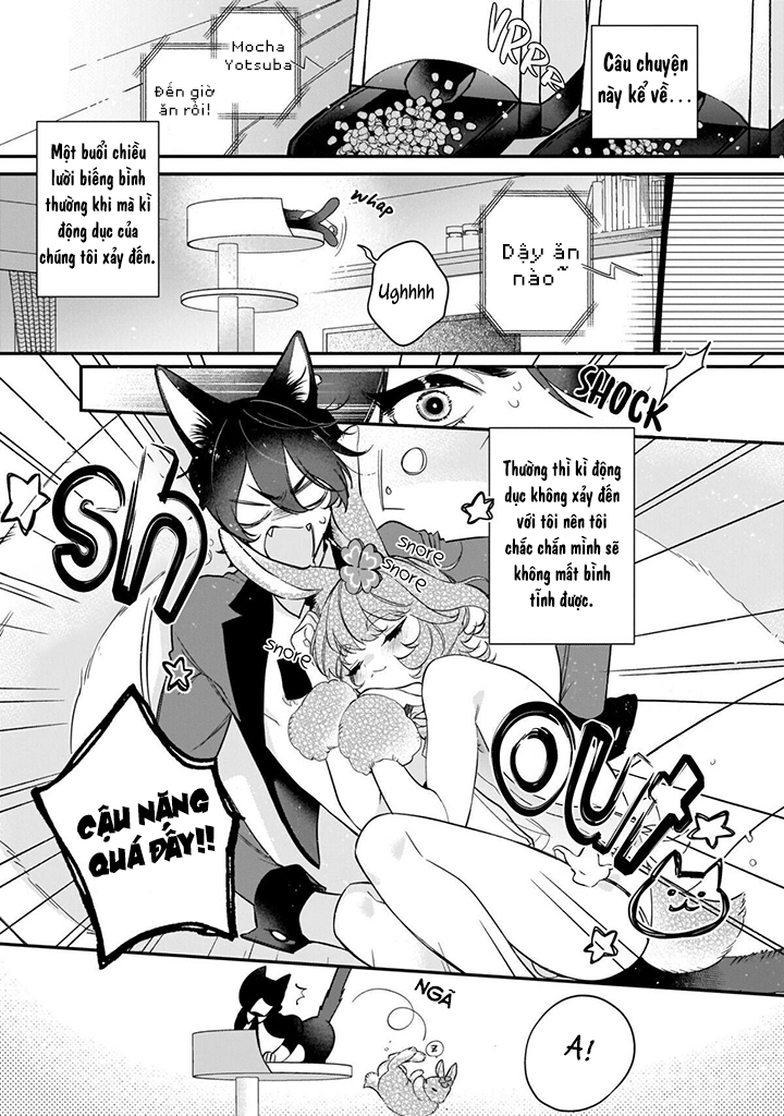 [ 18+ ] thỏ và mèo?! chapter 1 3
