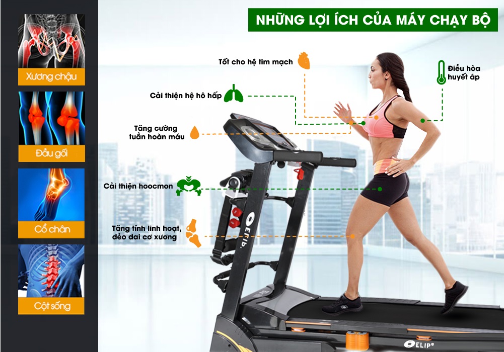 Máy Chạy Bộ Elip 1800