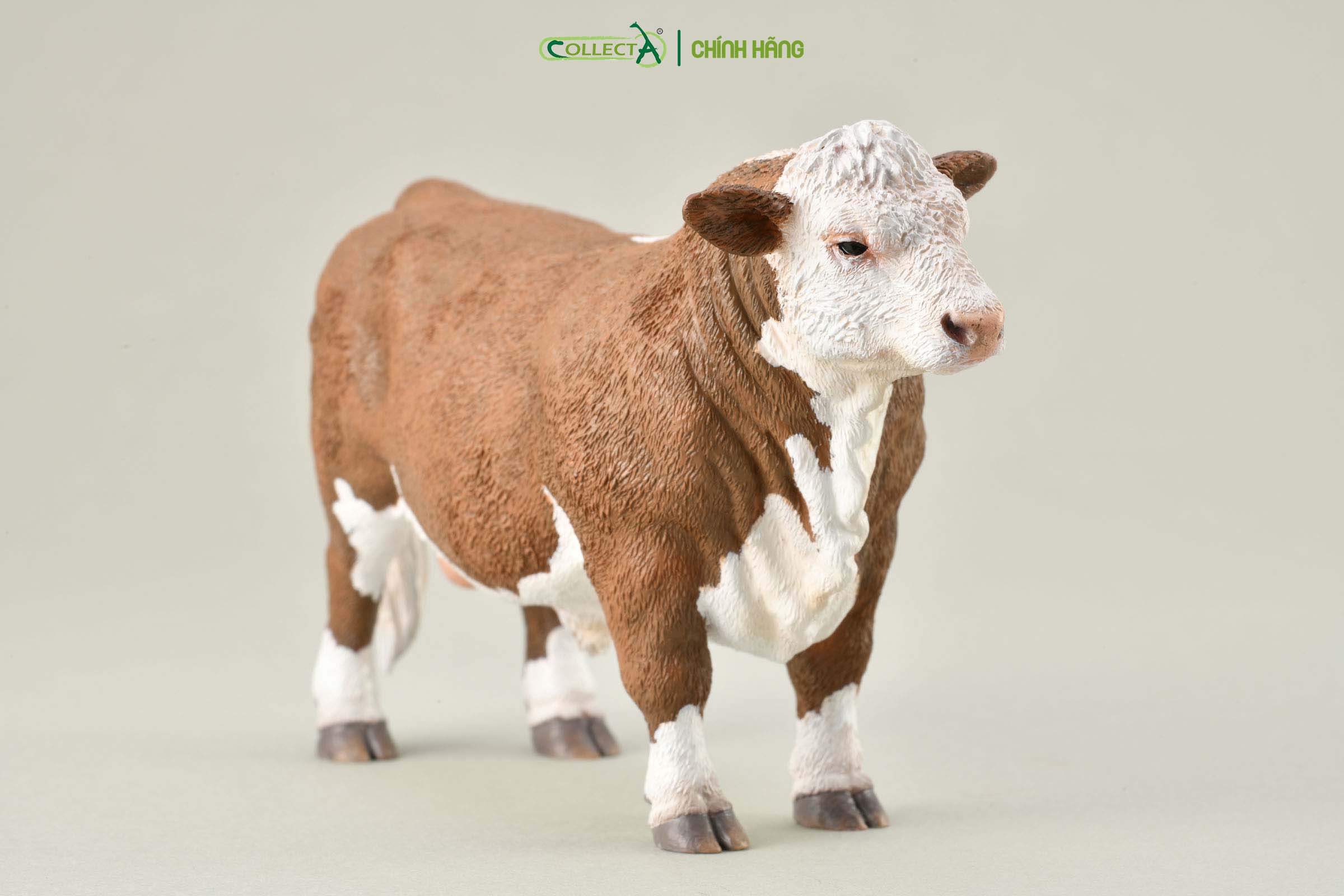 Mô hình thu nhỏ: Bò Hereford bố - Hereford Bull (Polled), hiệu: CollectA, mã HS 9650180[88861] -  Chất liệu an toàn cho trẻ - Hàng chính hãng