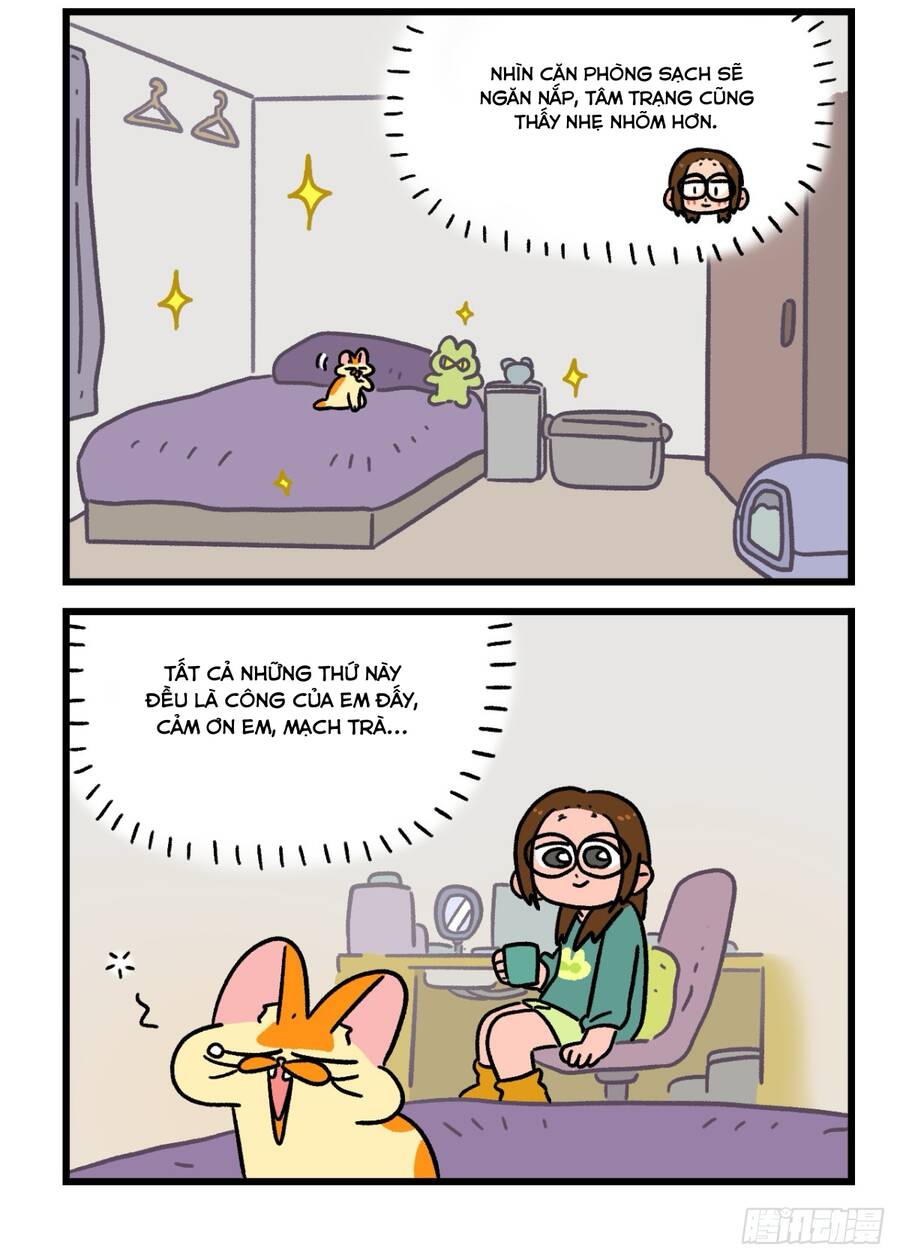 a mãn và mạch trà chapter 143.1 6