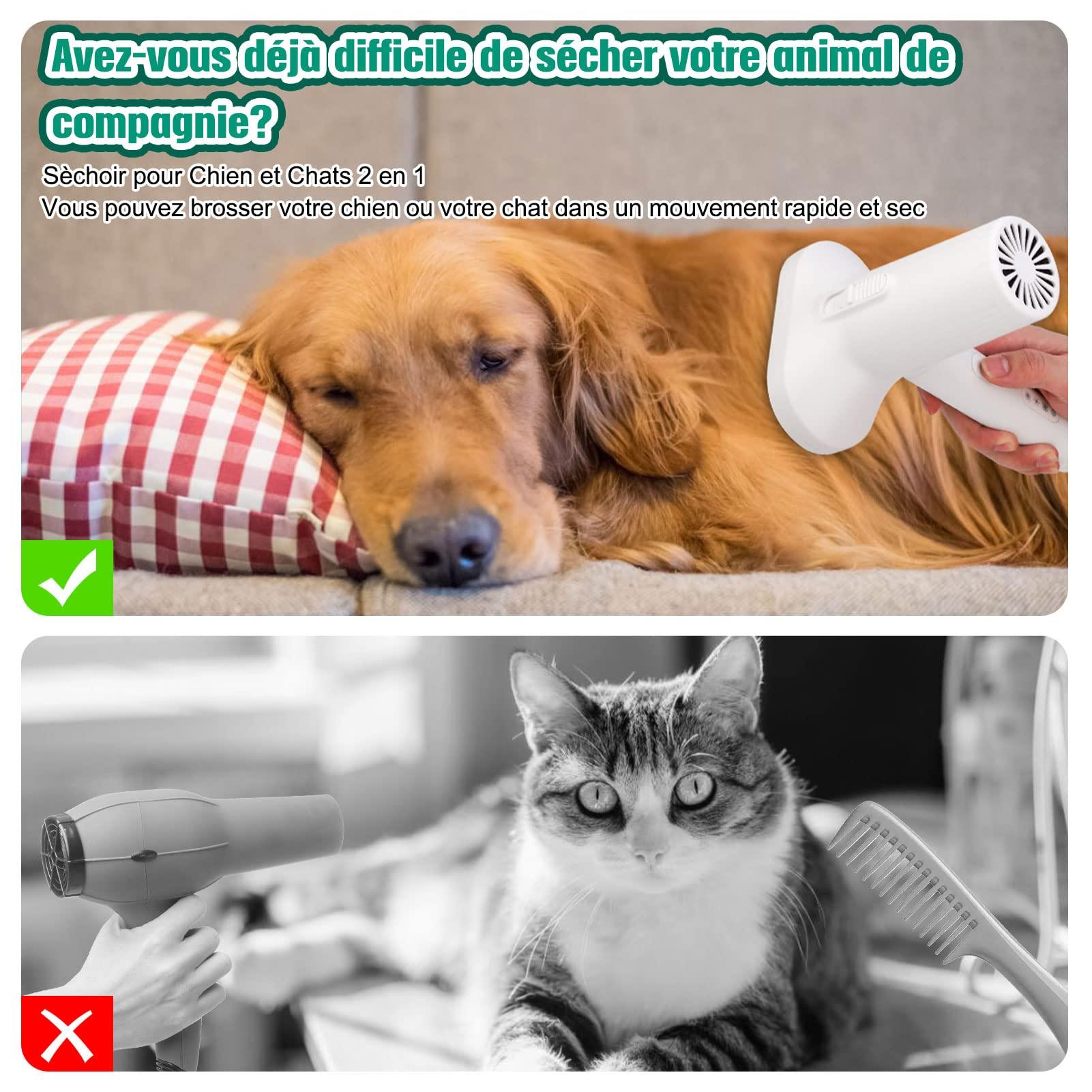 Chó và mèo quạt gió với 2 trong 1 bàn chải làm mịn, bàn chải chải chuốt mèo và chó, vật nuôi, lược massage cho mèo và chó với mái tóc ngắn