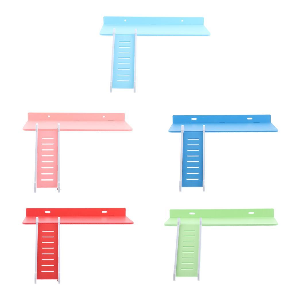 Wooden Platform and Ladder Set for Chinchilla Hamster Climbing