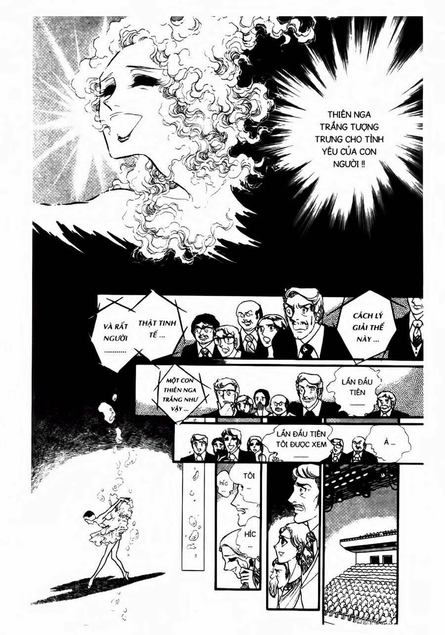 swan - vũ khúc thiên nga chapter 47 13