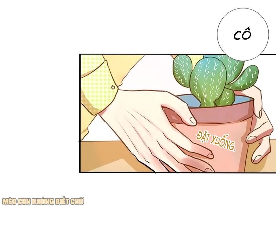 không có ssr làm sao để yêu chapter 7 23