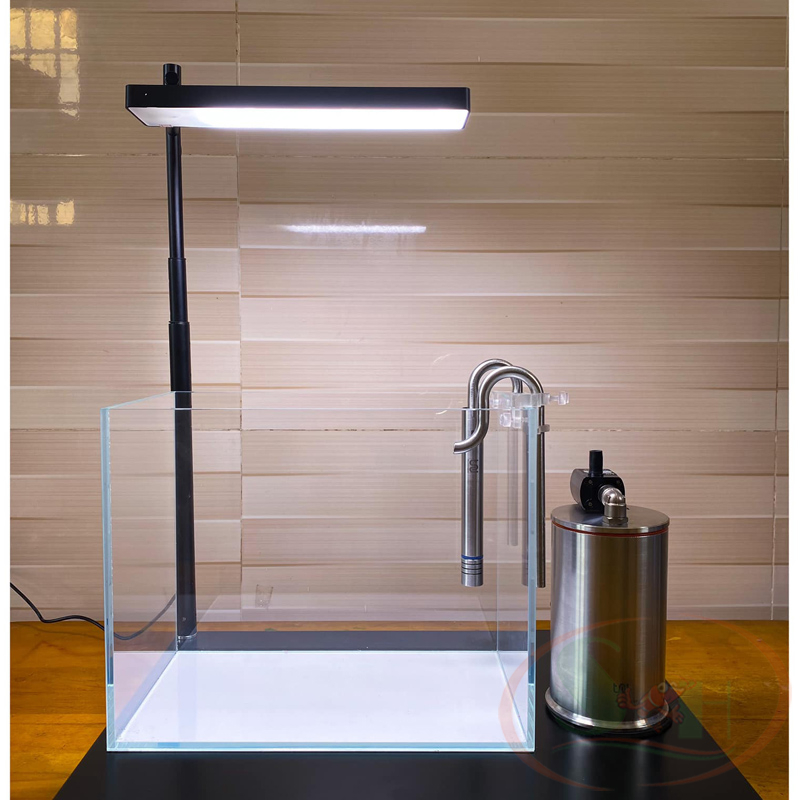 In out inox TRU mini Skimmer nano shallow hút váng bể thủy sinh cá tép