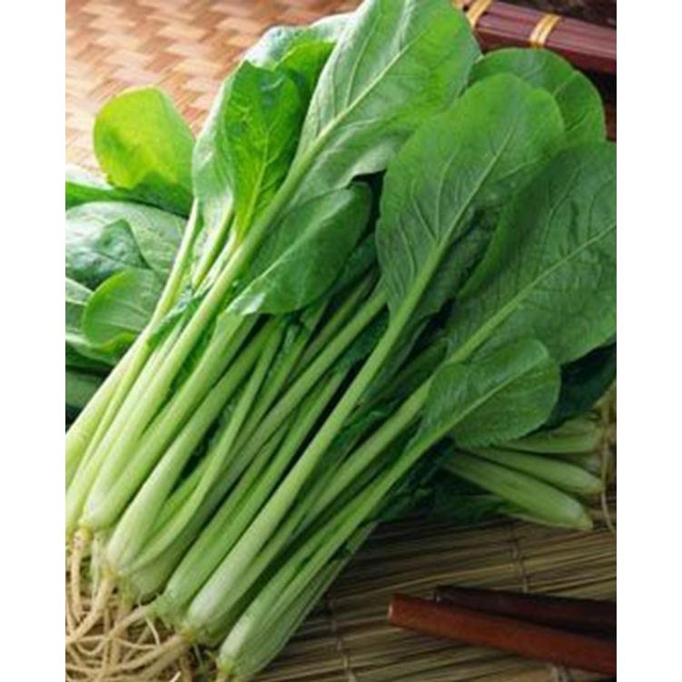 Combo 2 gói hạt giống cải ngọt cọng xanh