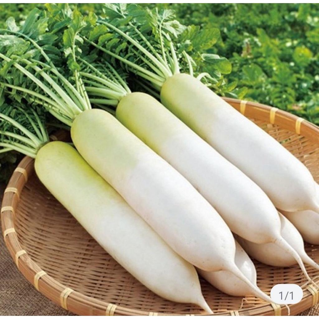 Hạt Giống Củ Cải Trắng Ăn Lá, Củ Cải Thái Bình Quy Cách Từ 100-1500 Hạt Gói 25G - Khu Vườn Ban Công