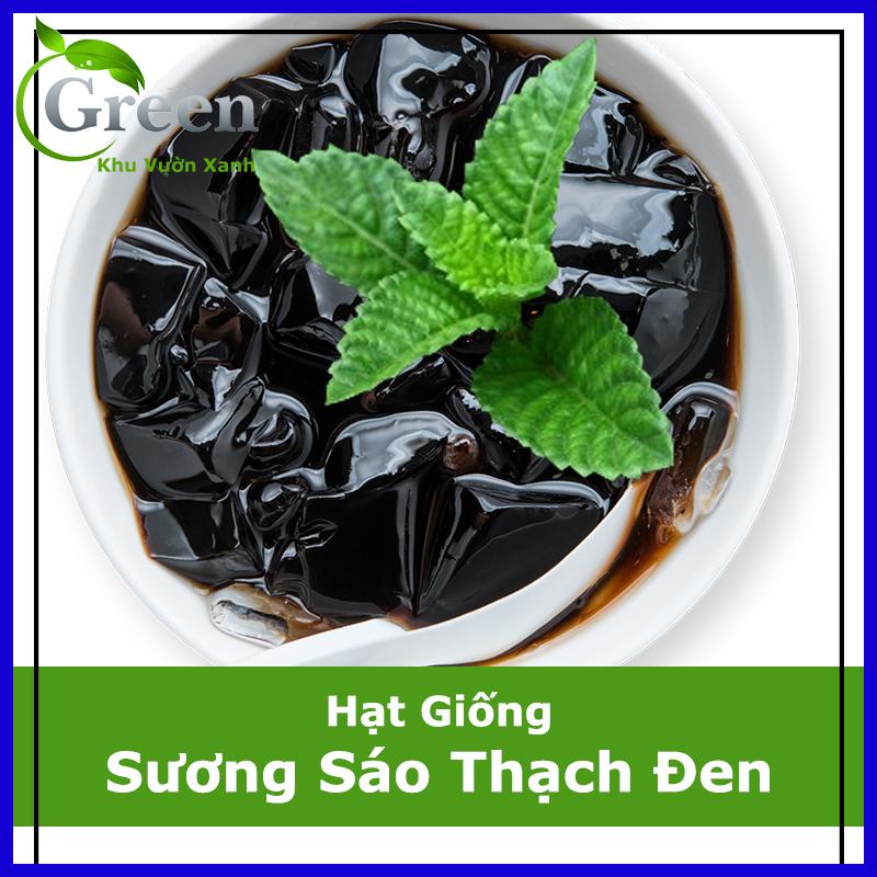 Hạt Giống Sương Sáo Thạch Đen (20 Hạt)