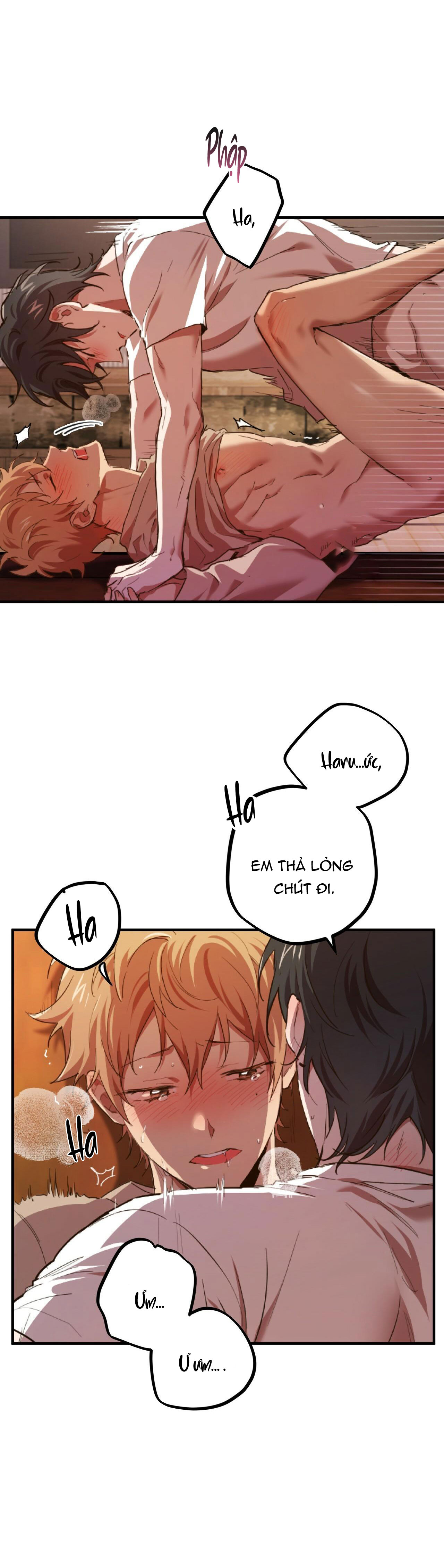 những chú thỏ của hapypy chapter 33 41