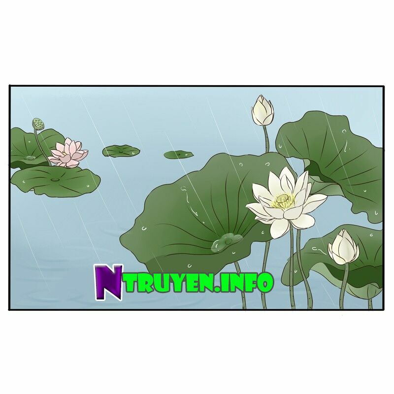 thông linh phi chapter 70.5 3