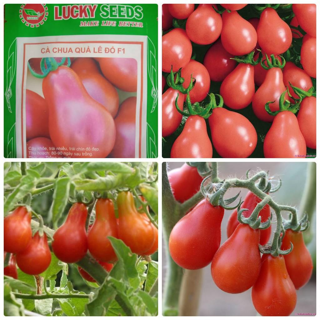 Hạt giống cà chua trái lê đỏ - Gói 30 Hạt