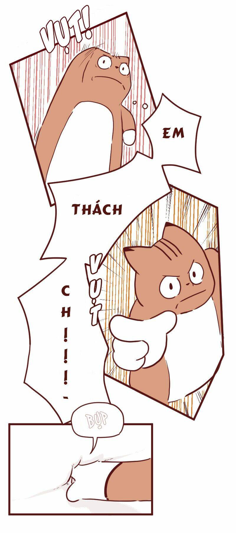 saphie: chú mèo một mắt chapter 24 3