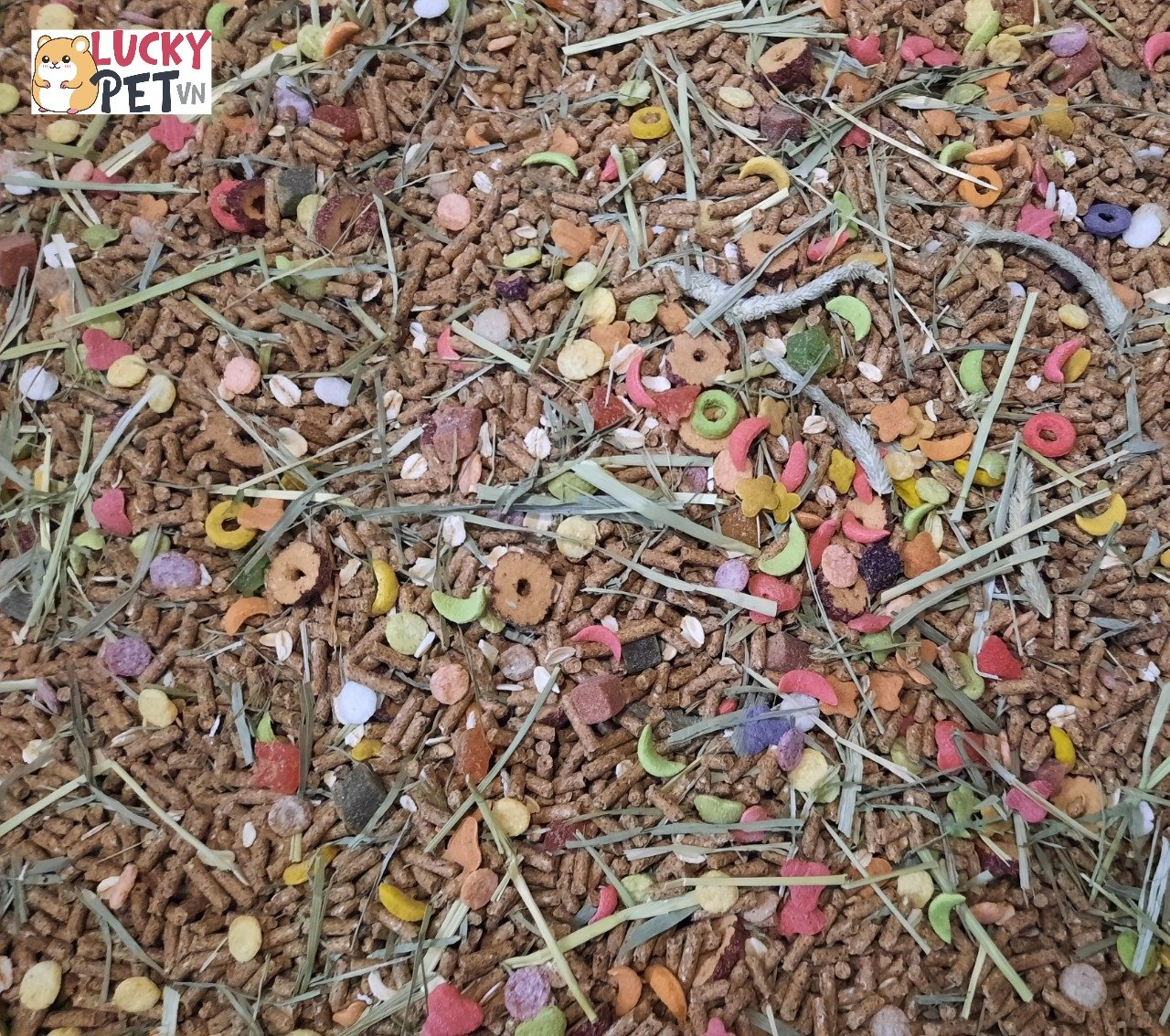 Túi 500 gr thức ăn cho thỏ , bọ ú , chuột lang ... - Mix thảo dược , cỏ Timothy