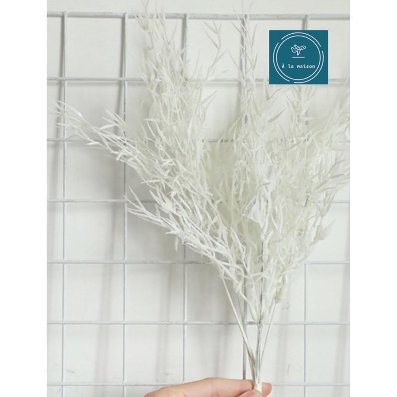 Cụm cỏ trúc cao 41cm dùng trang trí nhà cửa, hoa decor thiết kế, hoa cô dâu