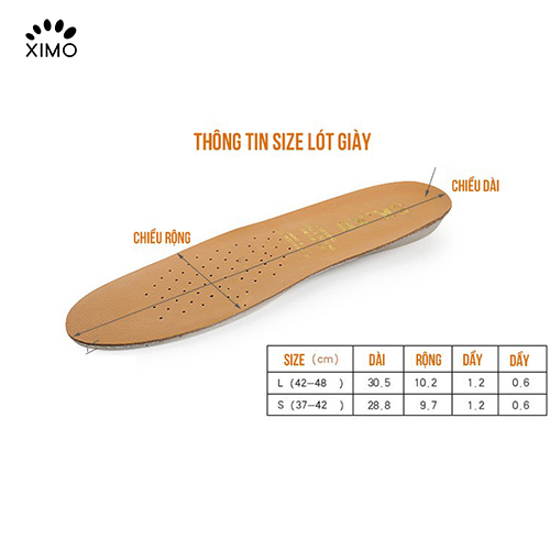 Lót giày da bò cao cấp êm chân khử mùi tốt sức khỏe- Tăng 1Size (LGD06)