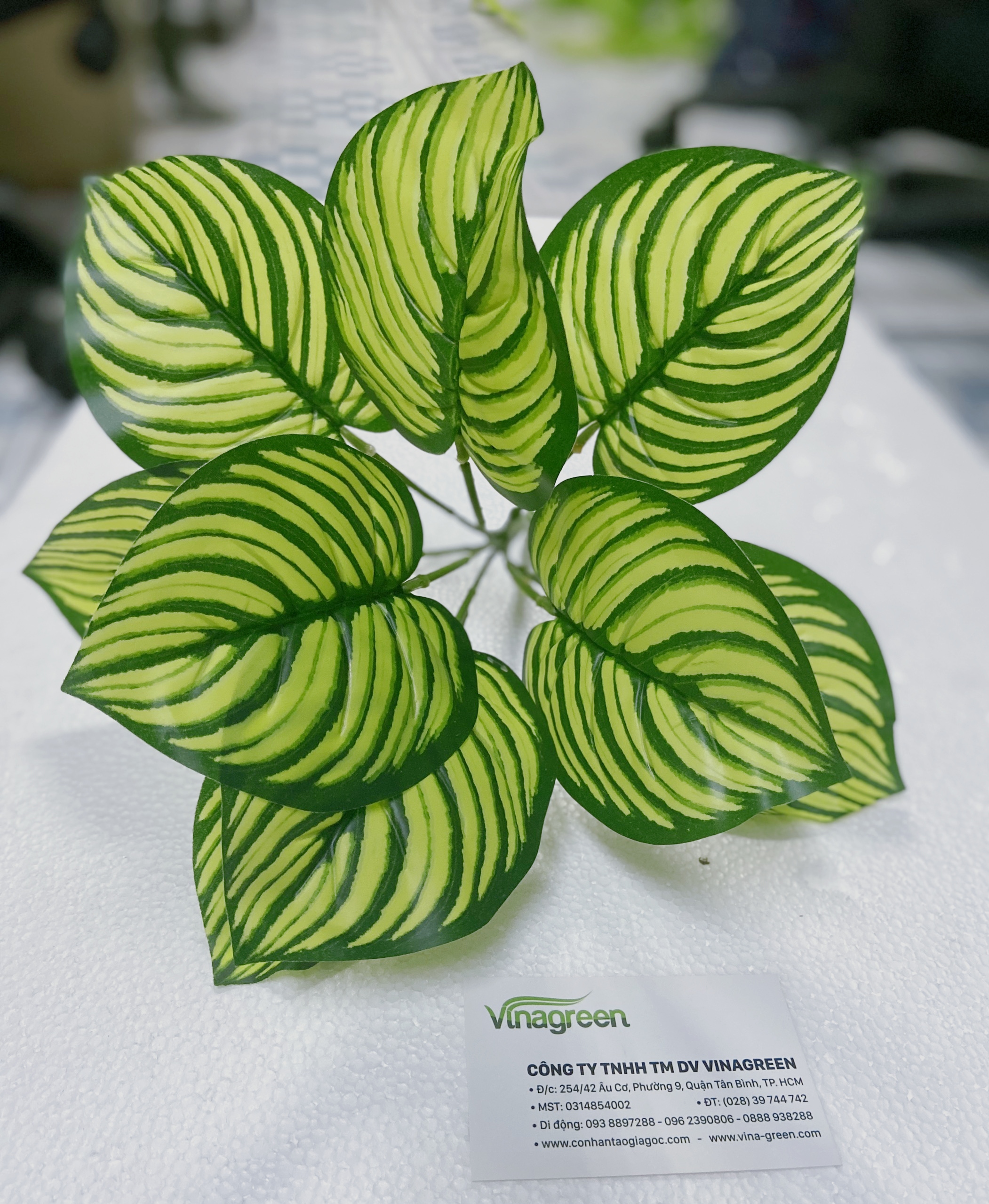 Cây đuôi công xanh giả trang trí nhà cửa, cây điểm trang trí, làm tường cây, cao 30cm, 9 nhánh lá - YY-179