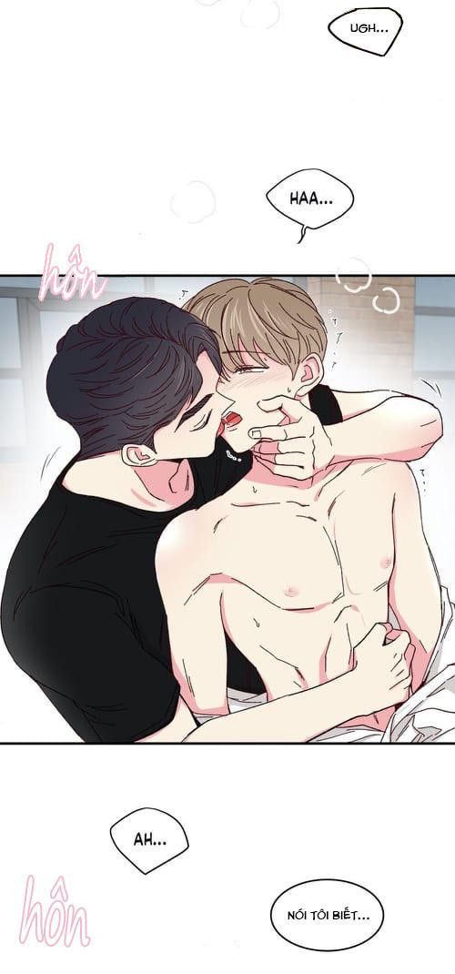 món tráng miệng của sếp tổng chapter 47 3