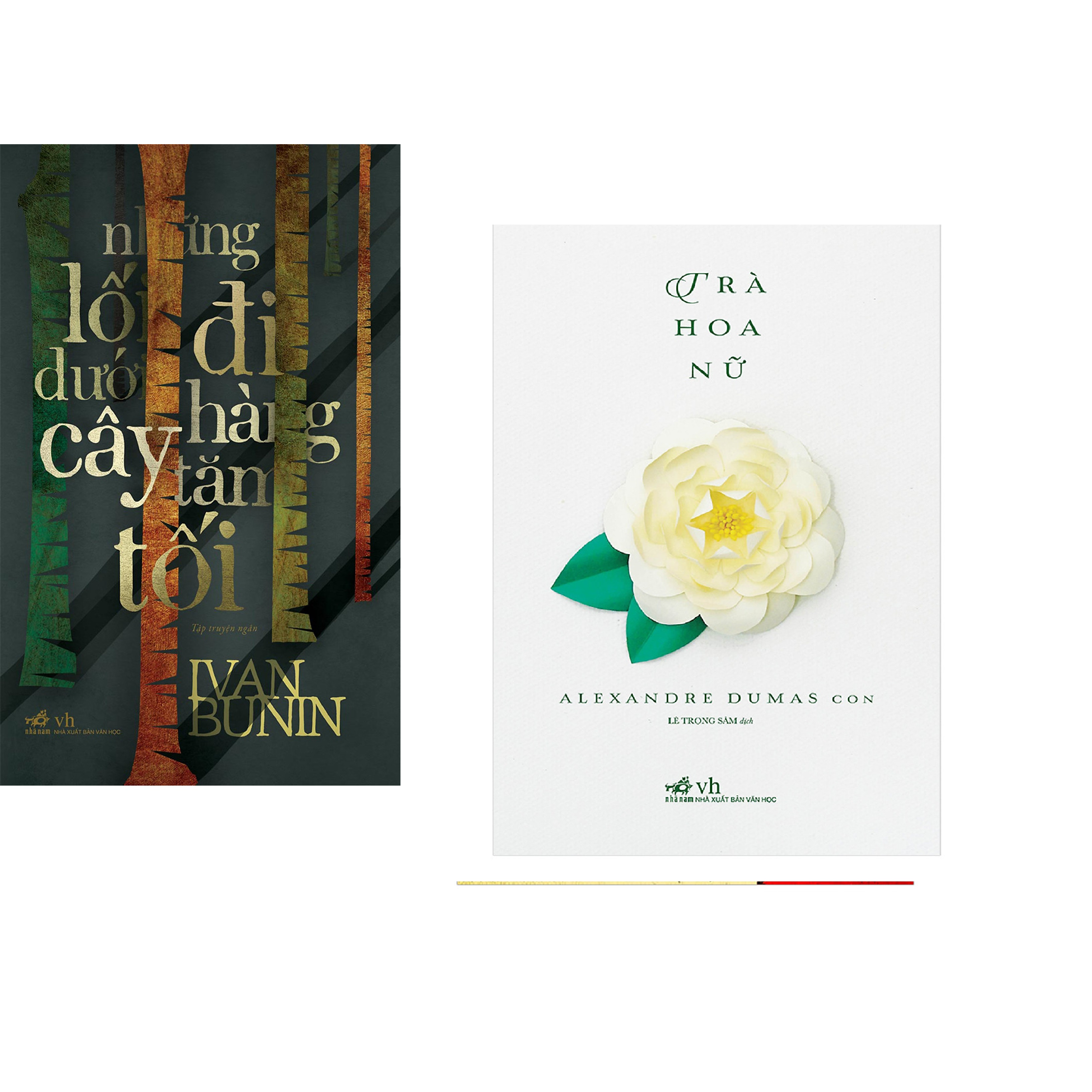 Combo 2 cuốn sách: Những lỗi đi dưới hàng cây tăm tối + Trà hoa nữ