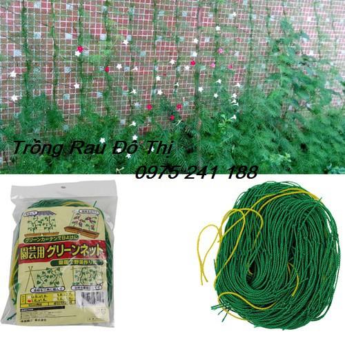 Lưới làm giàn leo 180 x 180cm, ô lưới 10x10cm, mắc 5 phút là xong