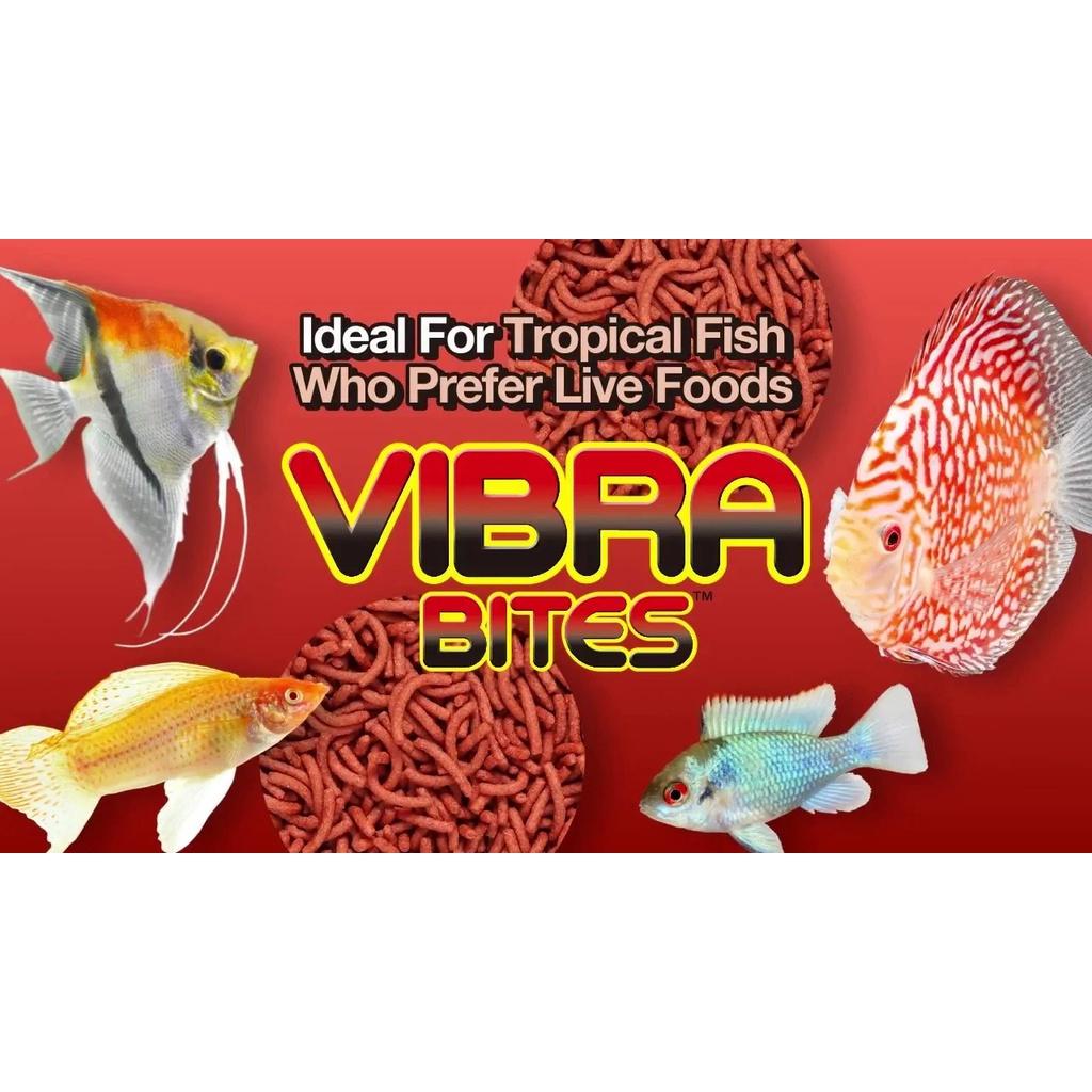Thức ăn Hikari vibra bites -tăng màu cho cá đĩa, cá cầu vồng- cá phượng hoàng-thần tiên- cá nhiệt đợi-shopleo