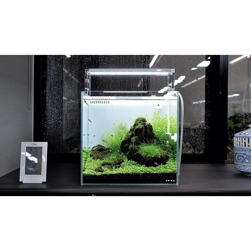 Hồ CUBIC Siêu Trong | Bể CUBIC Làm Hồ Cá , Thuỷ Sinh , Tiểu Cảnh - Giá Tốt.