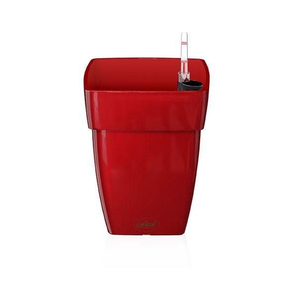 Chậu sơn vuông 5 size - Chậu tự dưỡng Catleza