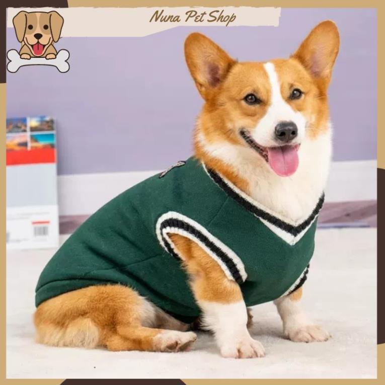Áo gile phong cách cho thú cưng - Áo len cho chó mèo
