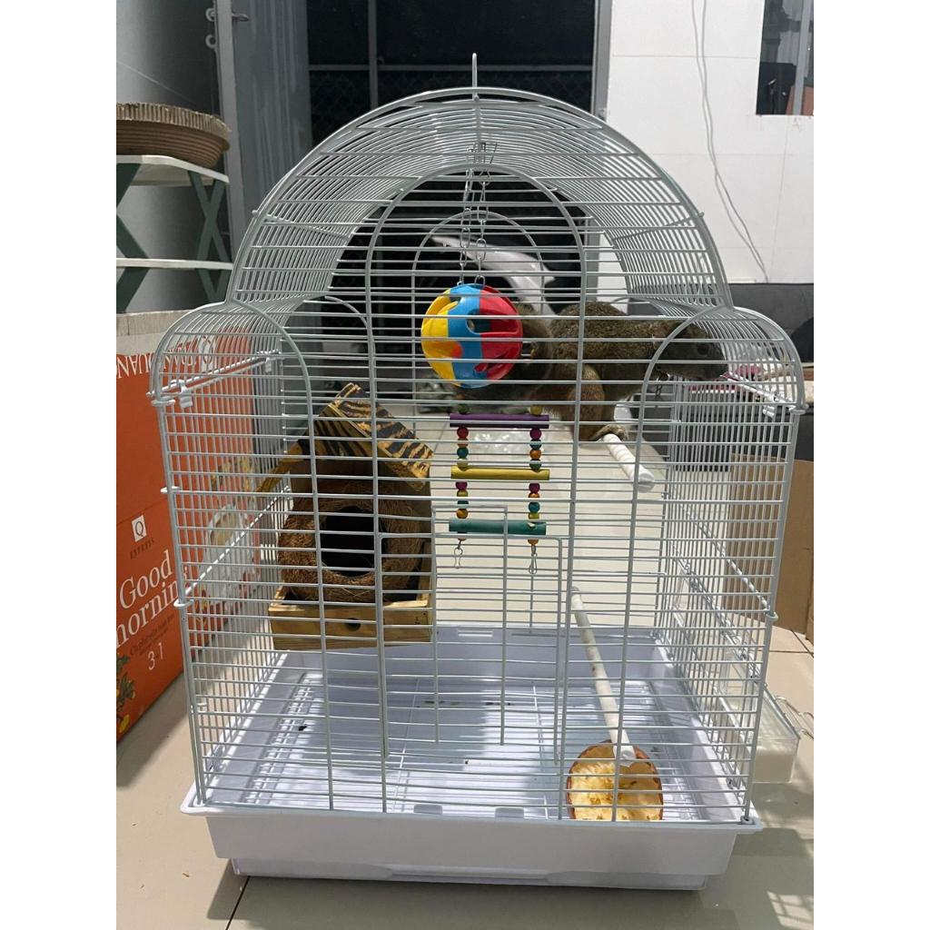 Lồng chuồng chim manh manh, 7 màu, bạc má, yến hót, các dòng chim, vẹt nhỏ và trung lovebird, yến phụng, xích, sun,...
