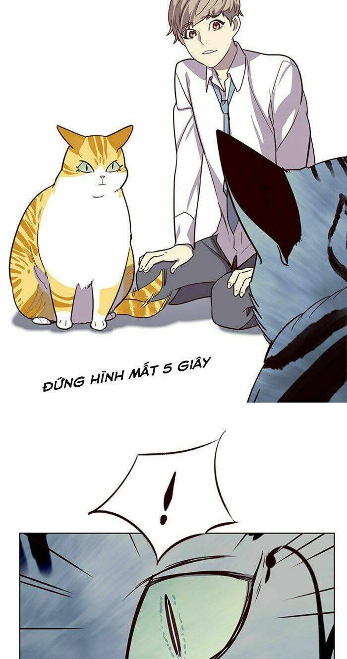 biến thân thành mèo chapter 10 16