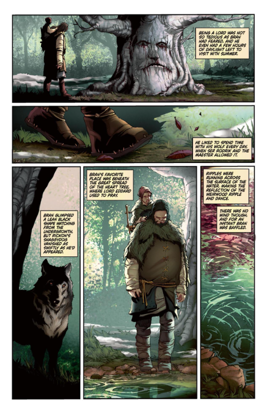 A Song Of Ice And Fire Book 2: Graphic Novel Vol.2: A Clash Of Kings