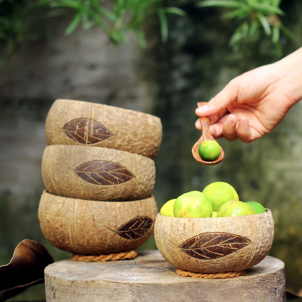 Tô/Chén/Bát gáo dừa hoa văn Cetus [Cetus Pattern Coconut Bowl]