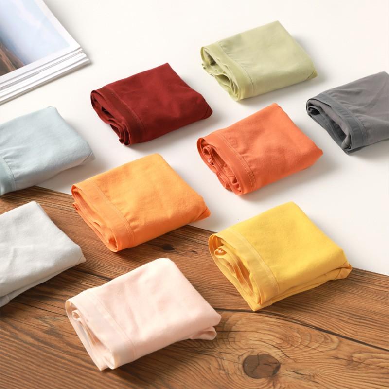 Quần Lót Nữ Cotton Cạp Vừa Thoáng Mát Thấm Hút Kháng Khuẩn 623