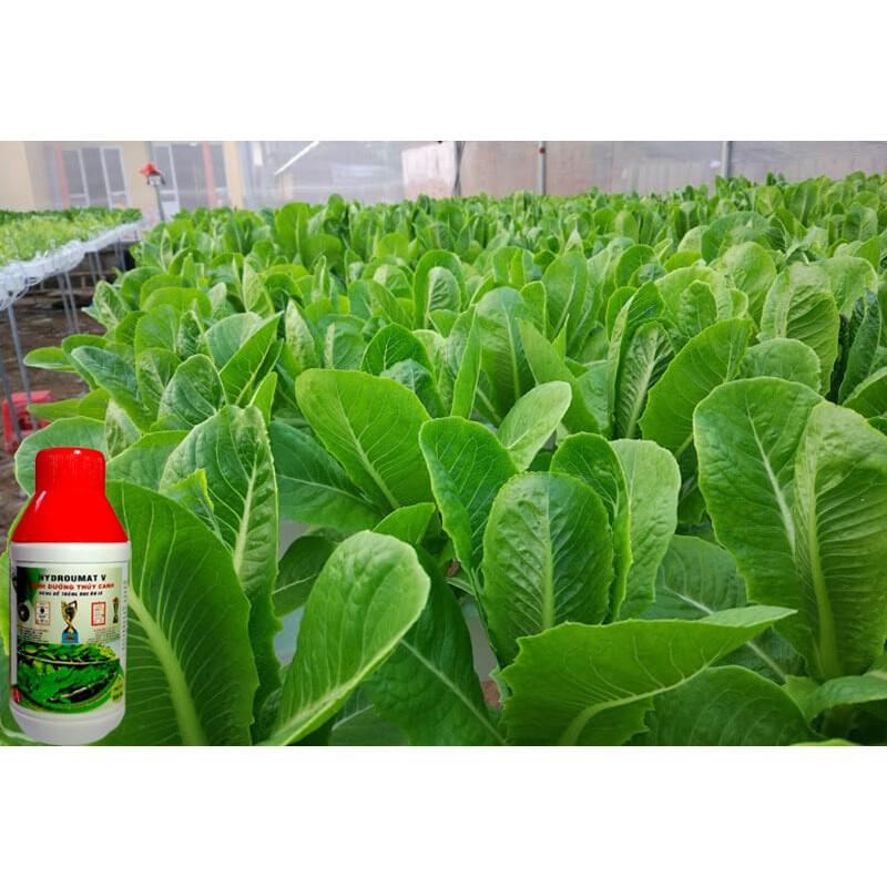 Dinh dưỡng thủy canh HYDRO UMAT V cho rau ăn lá 500ml