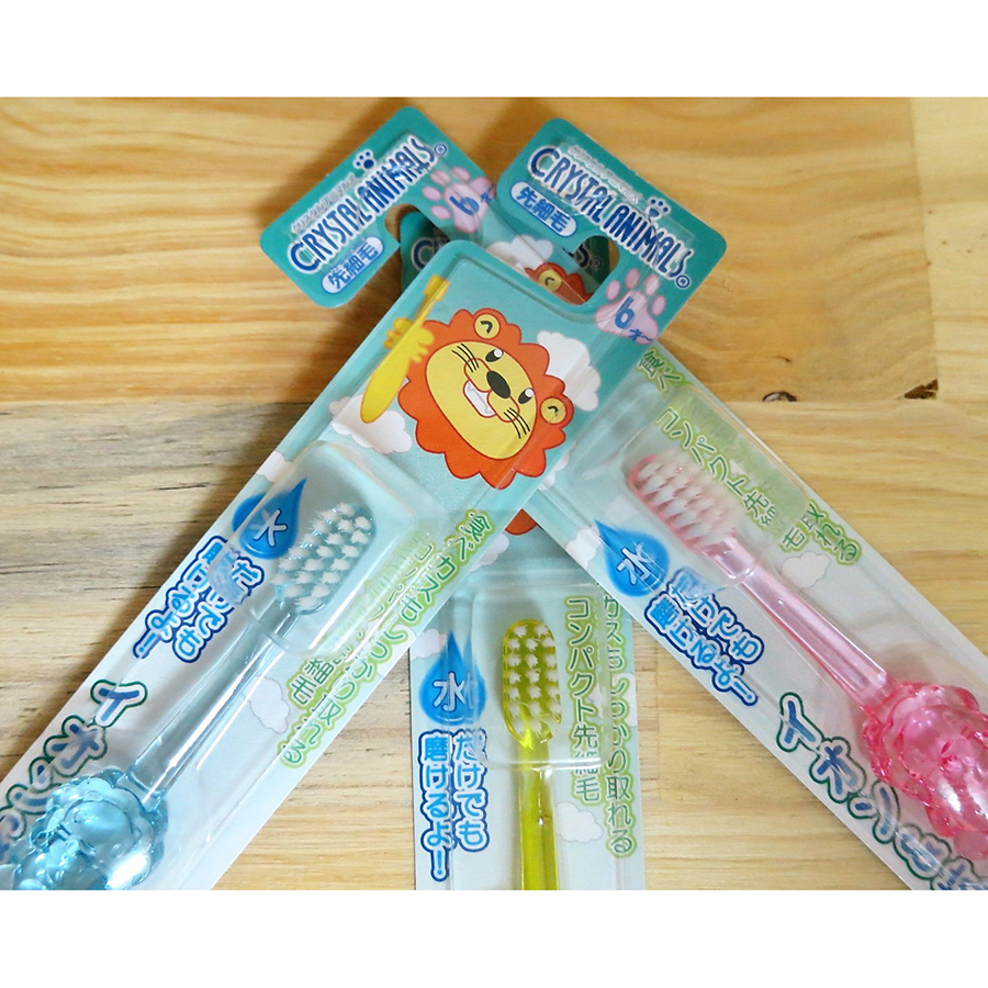 Combo Set 3 miếng lau nhà bếp + Bàn chải Ion cho bé từ 6 tuổi - Nội địa Nhật Bản
