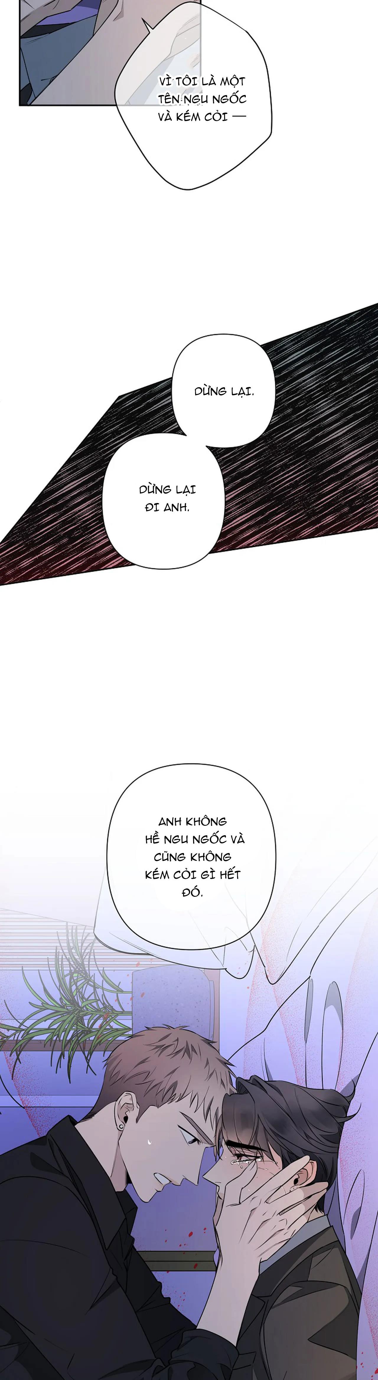 đêm dịu dàng chapter 38 16