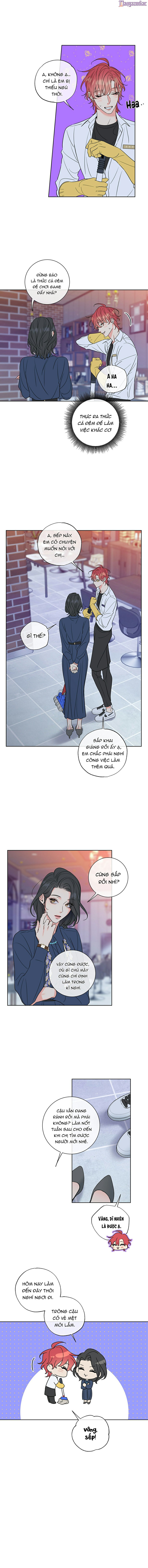 rắc rối mật ngọt chapter 12 5