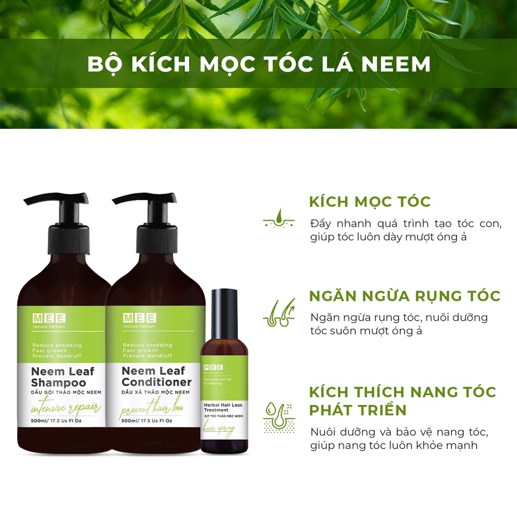 Dầu gội đầu thảo mộc Làm sạch da đầu, kích mọc tóc Mee Natural Shampoo 500ml