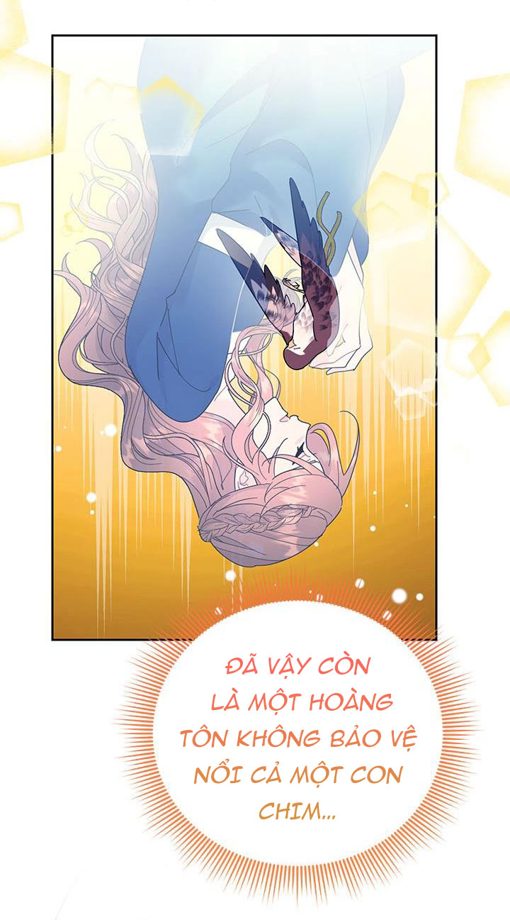 công chúa của loài chim chapter 38.1 15