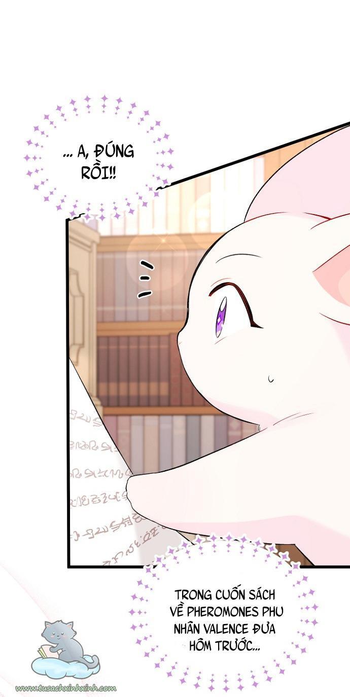 quan hệ cộng sinh giữa báo đen và thỏ trắng chapter 47 62