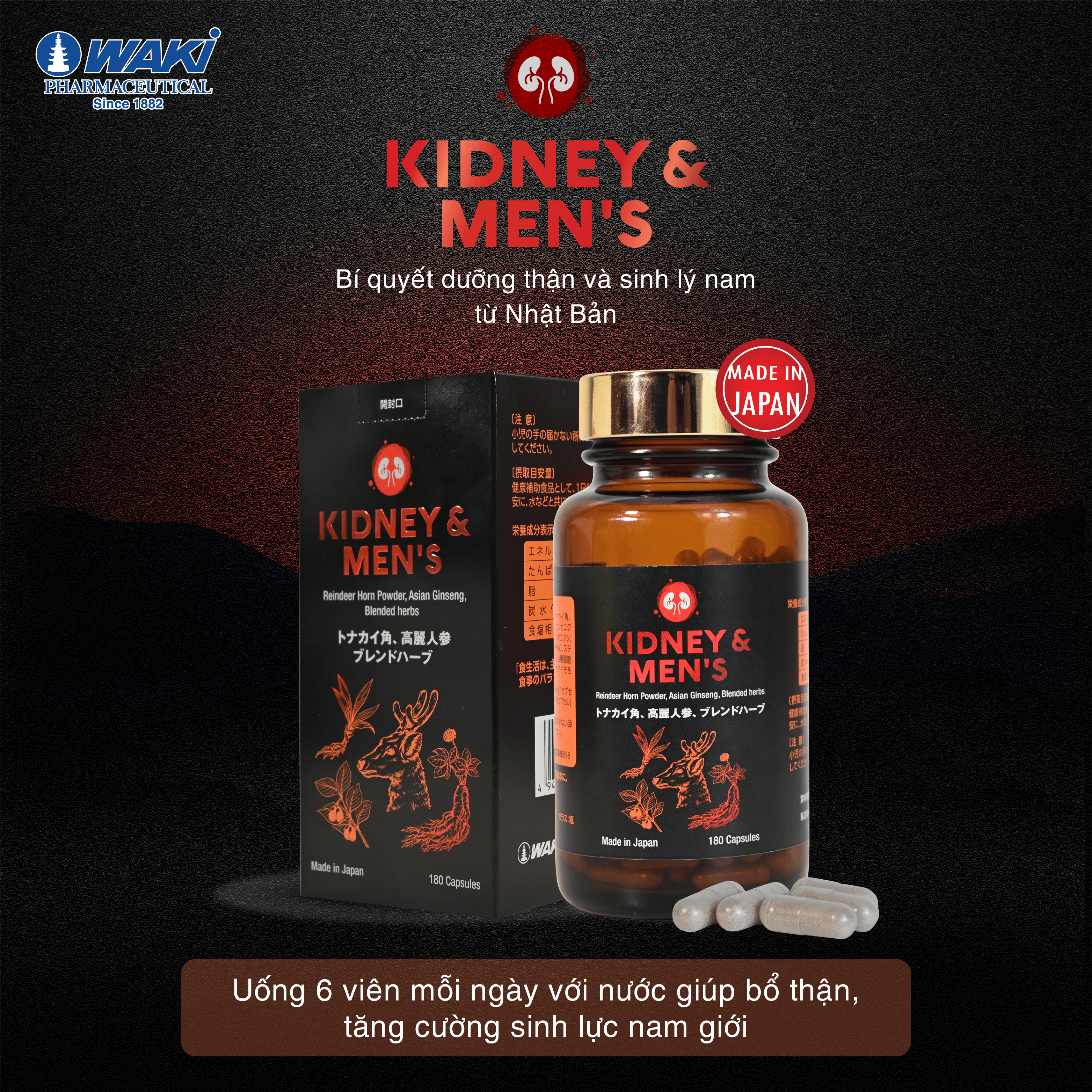 Thực phẩm bảo vệ sức khỏe Kidney & Men's Giúp Bổ Thận và Tăng Cường Sinh Lý Nam từ Nhật Bản