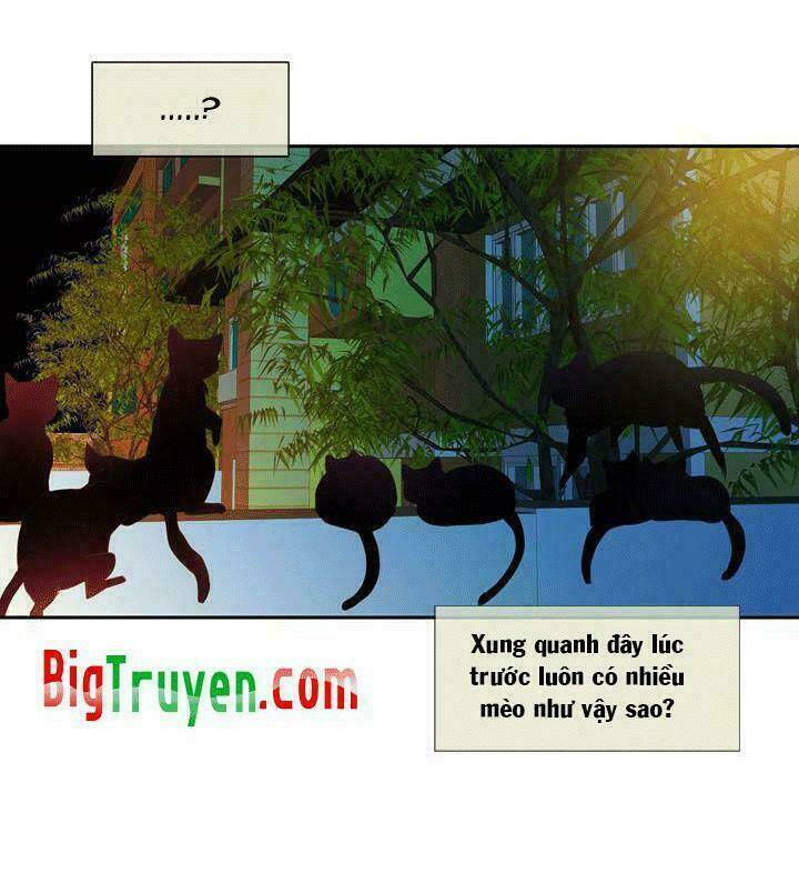 hoàng tử mèo đáng ghét chapter 1 79