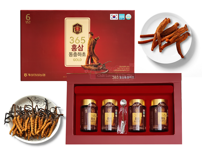Cao hồng sâm đông trùng hạ thảo 365 Gold Hàn Quốc hộp 4 lọ - Quà tặng thượng hạng cho mọi người