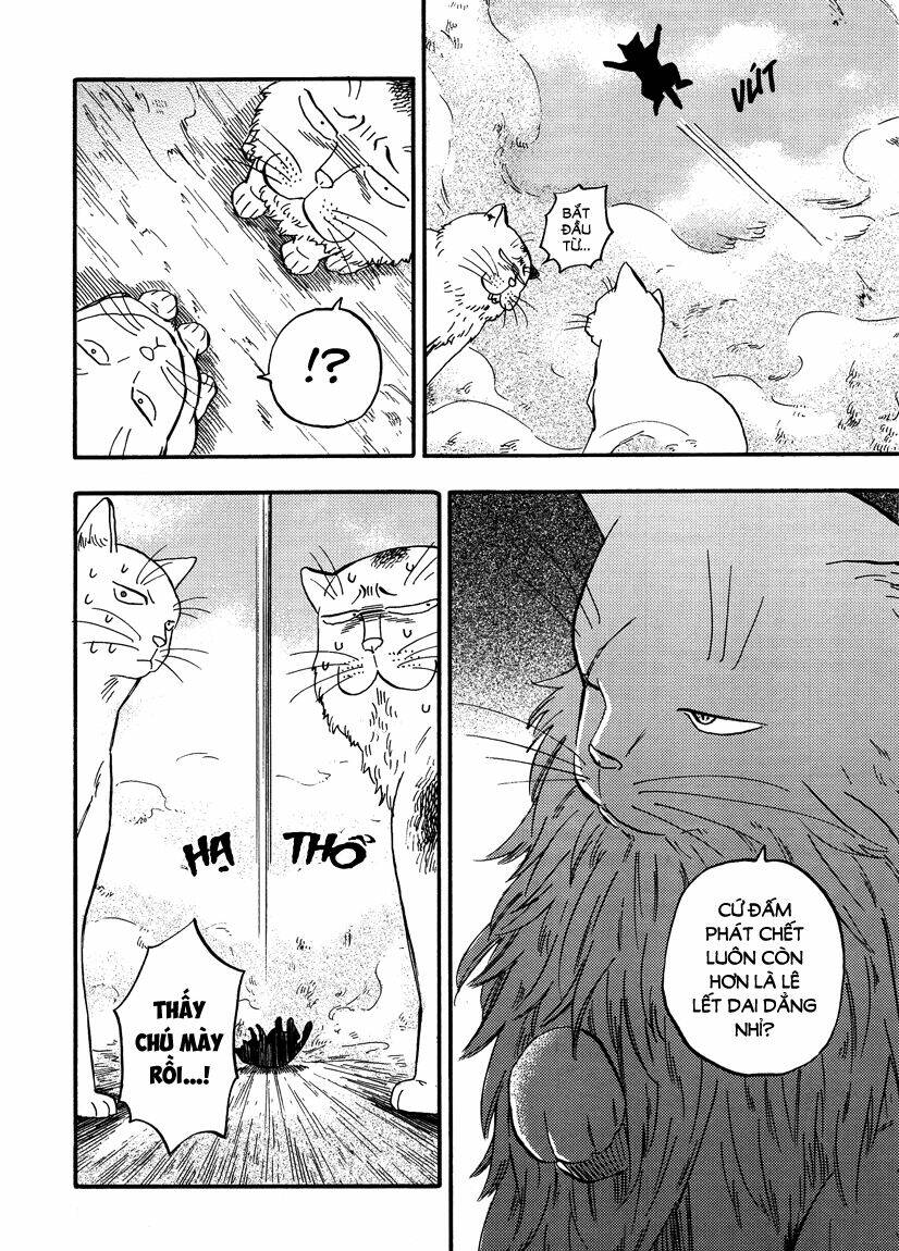 tui là busamen! chapter 8 8