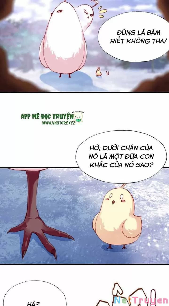 lại bị bệnh chiều chuộng quấn lấy chapter 13 28