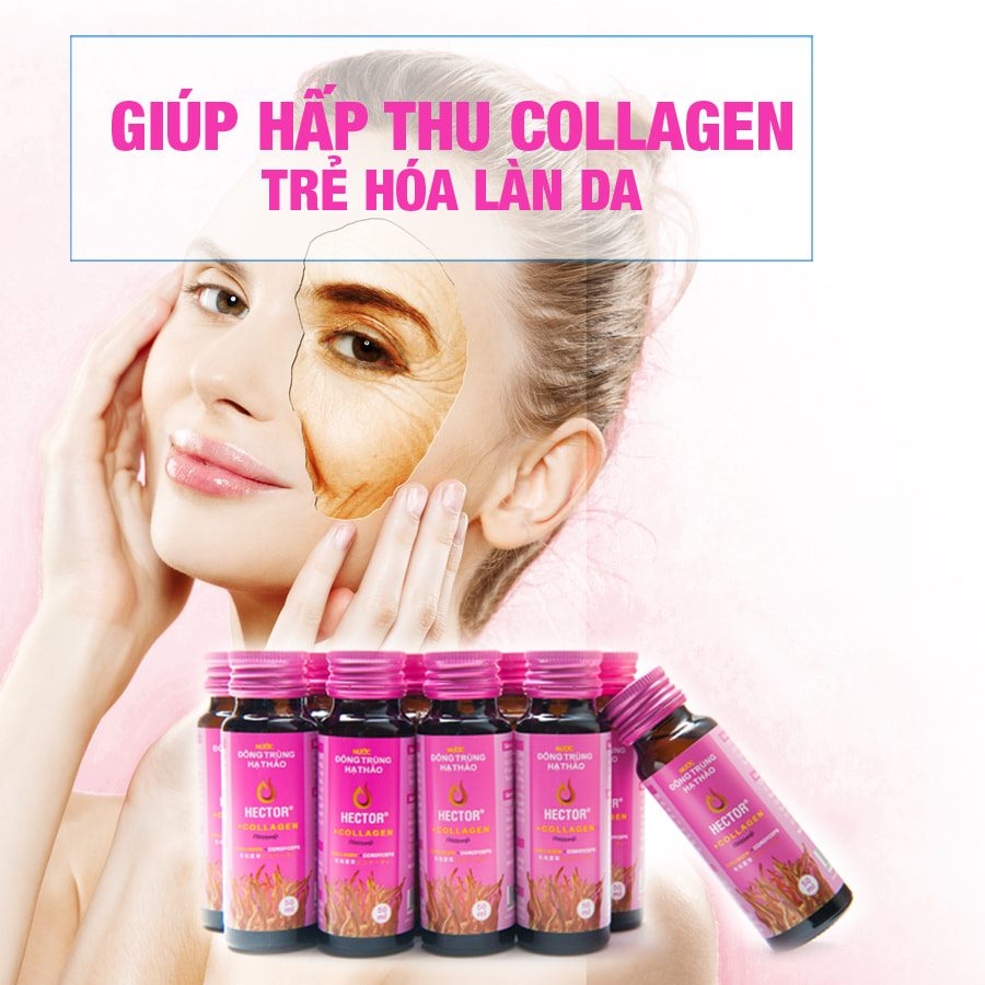 Combo Khỏe Đẹp - 3 Hộp (30 chai x 50ml) Nước Đông Trùng Hạ Thảo Hector Collagen Trẻ Hóa Da, Điều Hòa Nội Tiết, Tăng Sức Khỏe + Tặng 1 Son Dưỡng Pơ Lang