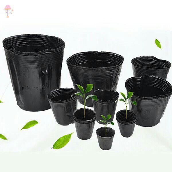 Combo 100 chậu ươm cây, trồng cây c8