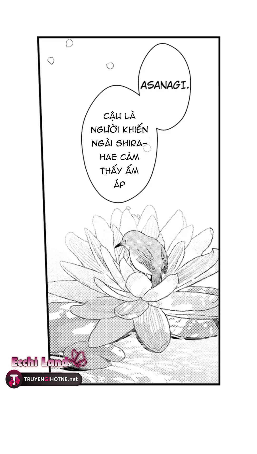 điểu thượng minh hoa chapter 15.2 6